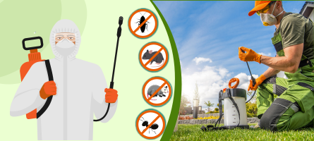 Emergency Pest Control Glen Iris 